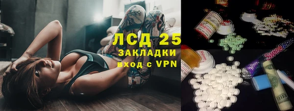 дурь Гусев