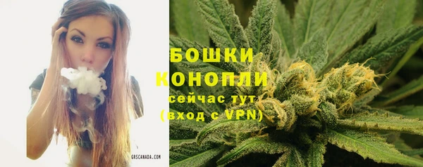 первитин Гусиноозёрск