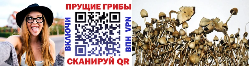 где купить   Можга  Галлюциногенные грибы мухоморы 