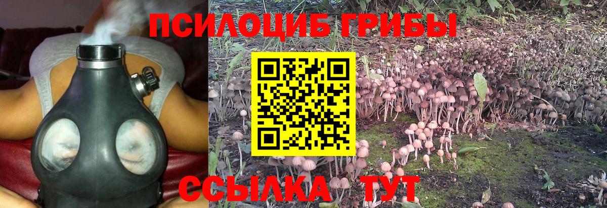 Галлюциногенные грибы Cubensis  Галлюциногенные грибы мицелий  где купить наркотик  Можга  Вход с VPN 